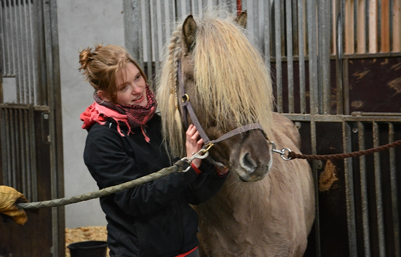 Kvinde kæler for hest i stald